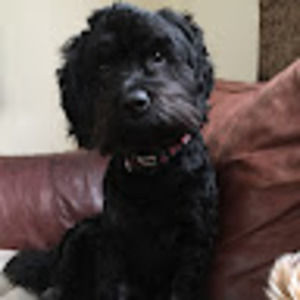 Meet your Posher, Elliett